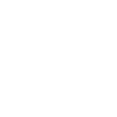 logo blanco opcion a